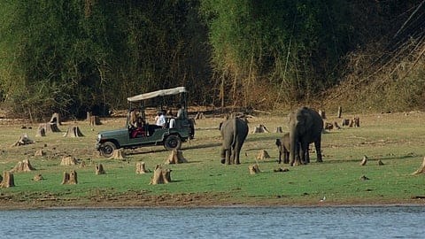 Kabini Forest Safari